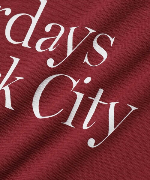 Saturdays NYC(サタデーズ ニューヨークシティ )の「Miller Standard SS TEE(Tシャツ/カットソー・メンズ・レッド/ブルー・XL/S/M/L/X-SMALL)」の6枚目の写真
