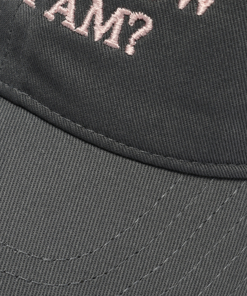 IDEA BOOKS / アイディアブックス】DO YOU KNOW WHO I AM HAT