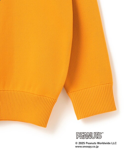 BEAMS GOLF(ビームスゴルフ)の「〈MEN〉PEANUTS チャーリー・ブラウン プルオーバーニット(ニット/セーター・メンズ・ネイビー/グレー/イエロー系その他5・M/L/XL/S)」の13枚目の写真