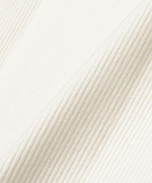 Demi-Luxe BEAMS(デミルクス ビームス)の「MAISON CORNICHON / スリーブレス Tシャツ(Tシャツ/カットソー・レディース・オフホワイト/ブラウン系その他4/ブラック・ONE SIZE)」の19枚目の写真