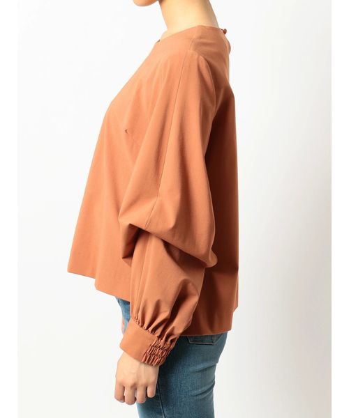 dazzlin（ダズリン）の「ボリュームスリーブプルオーバー（Tシャツ/カットソー・レディース・ブラウン/アイボリー/ミント・FREE）」の19枚目の写真