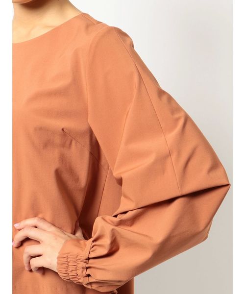 dazzlin（ダズリン）の「ボリュームスリーブプルオーバー（Tシャツ/カットソー・レディース・ブラウン/アイボリー/ミント・FREE）」の10枚目の写真