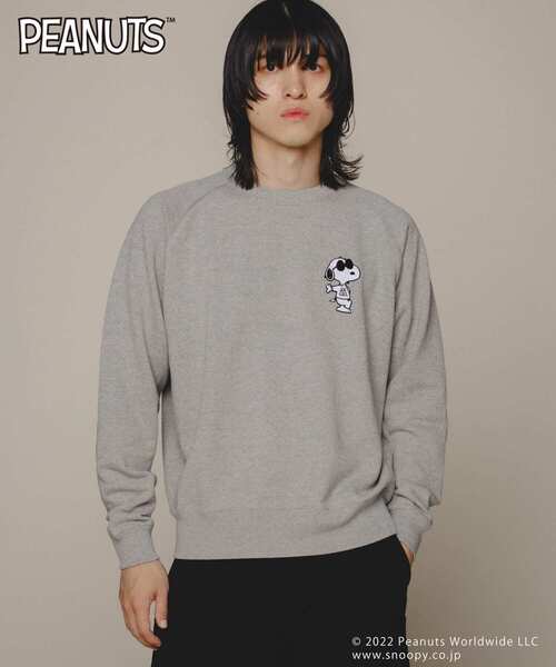 Uiscel（ユイセル）の「『PEANUTS(ピーナッツ)』オリジナルプリント USAコットンスウェットプルオーバーA（スウェット・メンズ・グレー/ライトベージュ・MEDIUM/LARGE）」の14枚目の写真