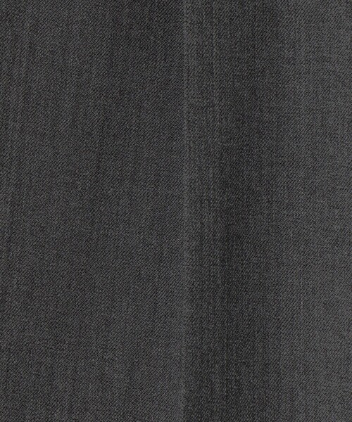 PT TORINO(ピーティートリノ)の「PT TORINO ポリエステルウール 1プリーツスラックス Gentleman fit(スラックス・メンズ・チャコールグレー・46/50/48)」の11枚目の写真