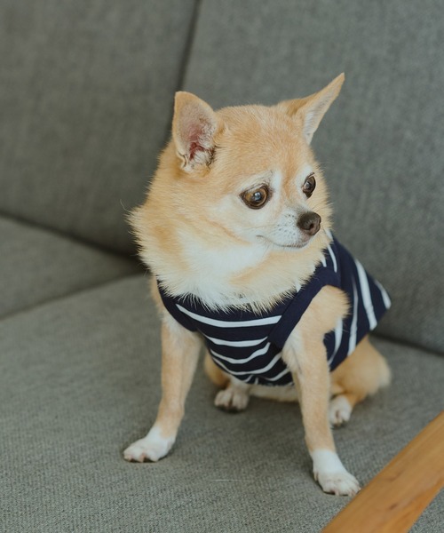 セール】Carhartt/カーハート 犬用チョアコート（ペットウェア