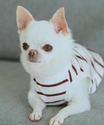 ROPE' PICNIC（ロペピクニック）の「【DOG】リンクボーダータンクトップ（ペットウェア）」