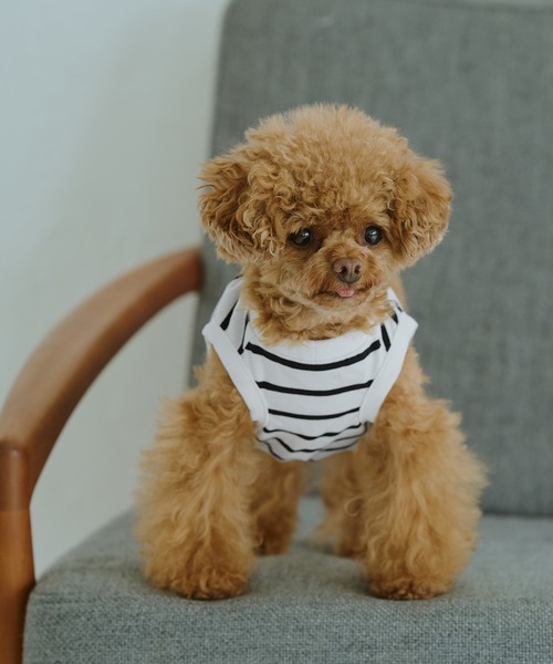 ROPE' PICNIC（ロペピクニック）の「【DOG】リンクボーダータンクトップ（ペットウェア・レディース・ブラック系その他/ブルー系その他/ブラウン・L/D/S/M）」の4枚目の写真