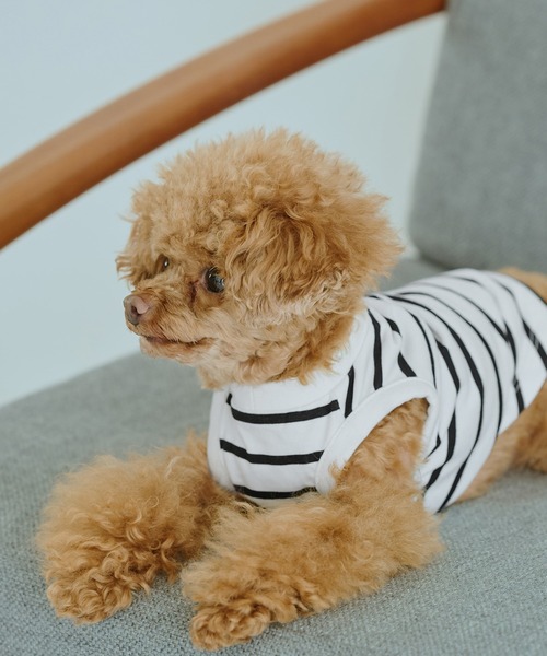 ROPE' PICNIC（ロペピクニック）の「【DOG】リンクボーダータンクトップ（ペットウェア・レディース・ブラック系その他/ブルー系その他/ブラウン・L/D/S/M）」の5枚目の写真
