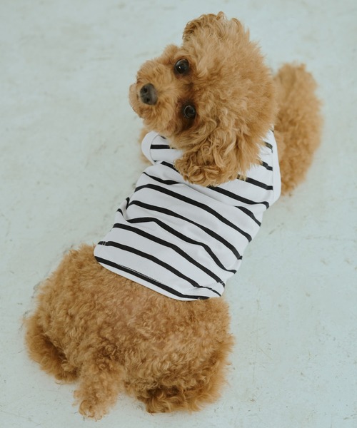 ROPE' PICNIC（ロペピクニック）の「【DOG】リンクボーダータンクトップ（ペットウェア・レディース・ブラック系その他/ブルー系その他/ブラウン・L/D/S/M）」の7枚目の写真