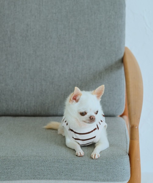 ROPE' PICNIC（ロペピクニック）の「【DOG】リンクボーダータンクトップ（ペットウェア・レディース・ブラック系その他/ブルー系その他/ブラウン・L/D/S/M）」の8枚目の写真
