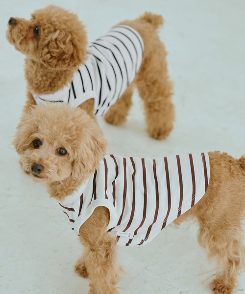 ROPE' PICNIC（ロペピクニック）の「【DOG】リンクボーダータンクトップ（ペットウェア・レディース・ブラック系その他/ブルー系その他/ブラウン・L/D/S/M）」の9枚目の写真