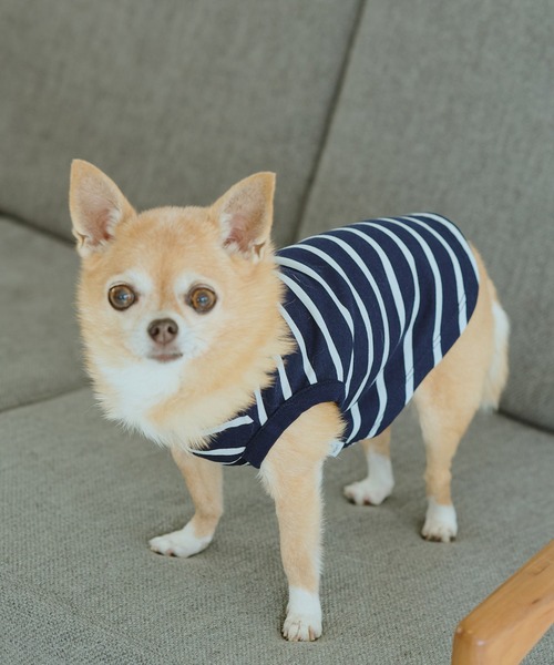 ROPE' PICNIC（ロペピクニック）の「【DOG】リンクボーダータンクトップ（ペットウェア・レディース・ブラック系その他/ブルー系その他/ブラウン・L/D/S/M）」の11枚目の写真