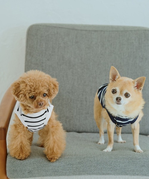 ROPE' PICNIC（ロペピクニック）の「【DOG】リンクボーダータンクトップ（ペットウェア・レディース・ブラック系その他/ブルー系その他/ブラウン・L/D/S/M）」の13枚目の写真