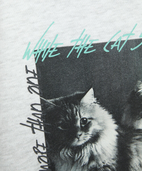 PUBLUX(パブリュクス)の「PUBLUX/パブリュクス キャット フォト 裏起毛 スウェット 限定展開(スウェット・レディース・ネイビー/チャコールグレー/ライトグレー・L/M/S)」の20枚目の写真