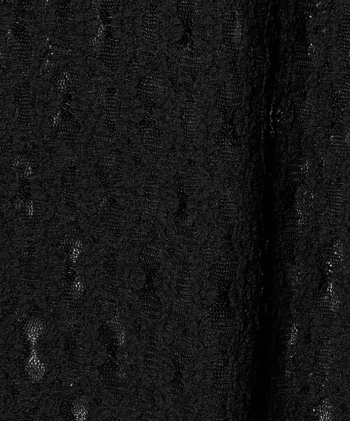 green label relaxing(グリーンレーベルリラクシング)の「【WEB限定】<at ease>シャーリングレース プルオーバー カットソー(Tシャツ/カットソー・レディース・ブラック/ホワイト・FREE)」の19枚目の写真