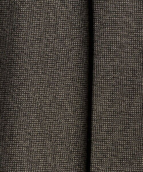 A DAY IN THE LIFE UNITED ARROWS（アデイインザライフユナイテッドアローズ）の「裏起毛 ピンヘッド イージ テーパードパンツ ‐ウォッシャブル‐＜A DAY IN THE LIFE＞（スラックス・レディース・グレー系/モカ/ネイビー・M/S）」の19枚目の写真