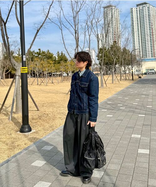 BEGIN202（ビギン202）の「ロックリンクパンツ [チャコールストライプ]（スラックス・メンズ・その他・2/3/4/1）」の3枚目の写真
