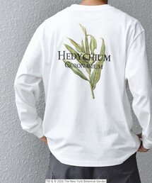 【SHIPS any別注】NYBG: ボタニカル プリント リラックス Tシャツ (ロンT)◇