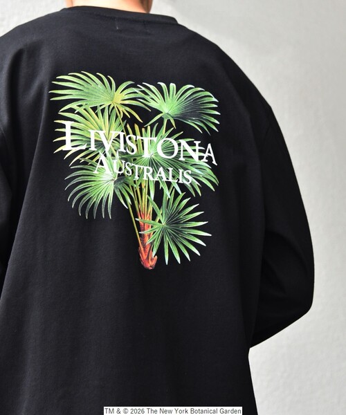 SHIPS any（シップス エニィ）の「【SHIPS any別注】NYBG: ボタニカル プリント リラックス Tシャツ (ロンT)◇（Tシャツ/カットソー・メンズ・ホワイト/ブラック・MEDIUM/X-LARGE/LARGE）」の2枚目の写真