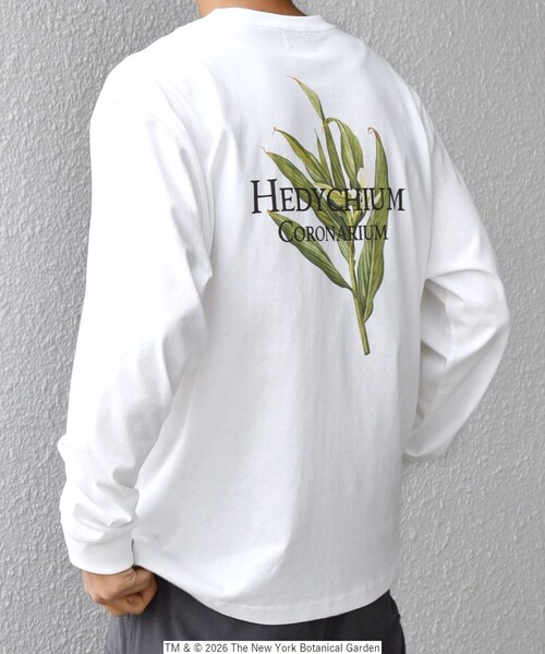 SHIPS any（シップス エニィ）の「【SHIPS any別注】NYBG: ボタニカル プリント リラックス Tシャツ (ロンT)◇（Tシャツ/カットソー・メンズ・ホワイト/ブラック・MEDIUM/X-LARGE/LARGE）」の4枚目の写真
