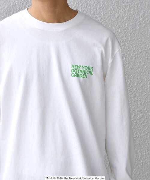 SHIPS any（シップス エニィ）の「【SHIPS any別注】NYBG: ボタニカル プリント リラックス Tシャツ (ロンT)◇（Tシャツ/カットソー・メンズ・ホワイト/ブラック・MEDIUM/X-LARGE/LARGE）」の5枚目の写真
