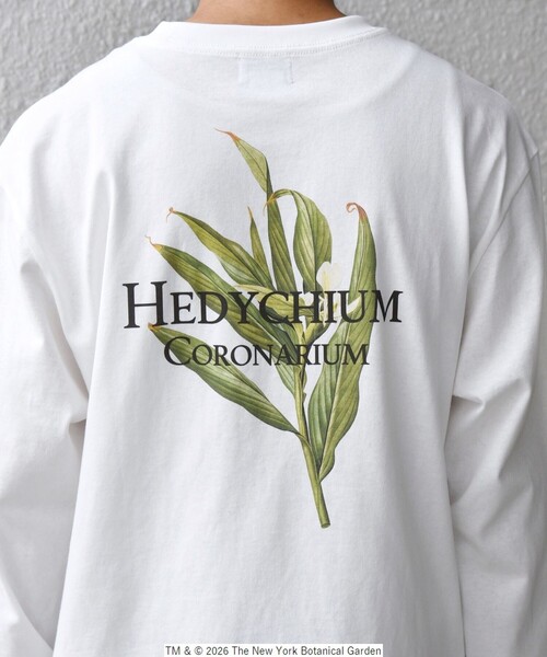 SHIPS any（シップス エニィ）の「【SHIPS any別注】NYBG: ボタニカル プリント リラックス Tシャツ (ロンT)◇（Tシャツ/カットソー・メンズ・ホワイト/ブラック・MEDIUM/X-LARGE/LARGE）」の6枚目の写真