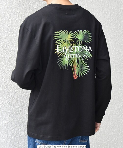 SHIPS any（シップス エニィ）の「【SHIPS any別注】NYBG: ボタニカル プリント リラックス Tシャツ (ロンT)◇（Tシャツ/カットソー・メンズ・ホワイト/ブラック・MEDIUM/X-LARGE/LARGE）」の10枚目の写真