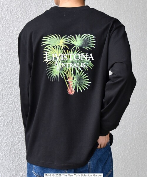 SHIPS any（シップス エニィ）の「【SHIPS any別注】NYBG: ボタニカル プリント リラックス Tシャツ (ロンT)◇（Tシャツ/カットソー・メンズ・ホワイト/ブラック・MEDIUM/X-LARGE/LARGE）」の11枚目の写真