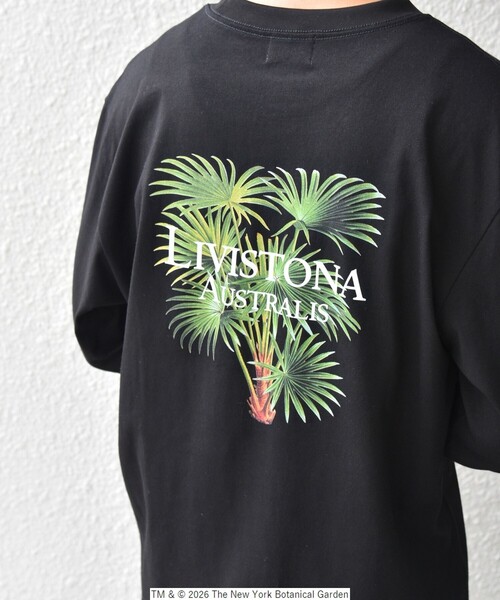 SHIPS any（シップス エニィ）の「【SHIPS any別注】NYBG: ボタニカル プリント リラックス Tシャツ (ロンT)◇（Tシャツ/カットソー・メンズ・ホワイト/ブラック・MEDIUM/X-LARGE/LARGE）」の13枚目の写真