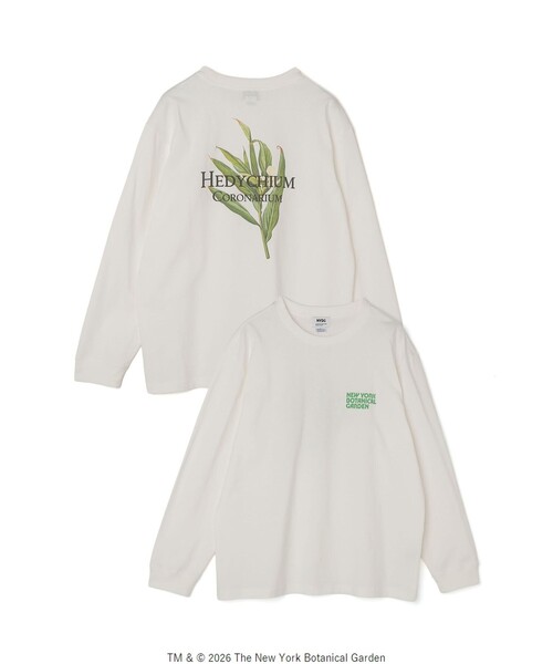 SHIPS any（シップス エニィ）の「【SHIPS any別注】NYBG: ボタニカル プリント リラックス Tシャツ (ロンT)◇（Tシャツ/カットソー・メンズ・ホワイト/ブラック・MEDIUM/X-LARGE/LARGE）」の14枚目の写真