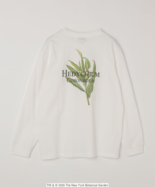 SHIPS any（シップス エニィ）の「【SHIPS any別注】NYBG: ボタニカル プリント リラックス Tシャツ (ロンT)◇（Tシャツ/カットソー・メンズ・ホワイト/ブラック・MEDIUM/X-LARGE/LARGE）」の19枚目の写真