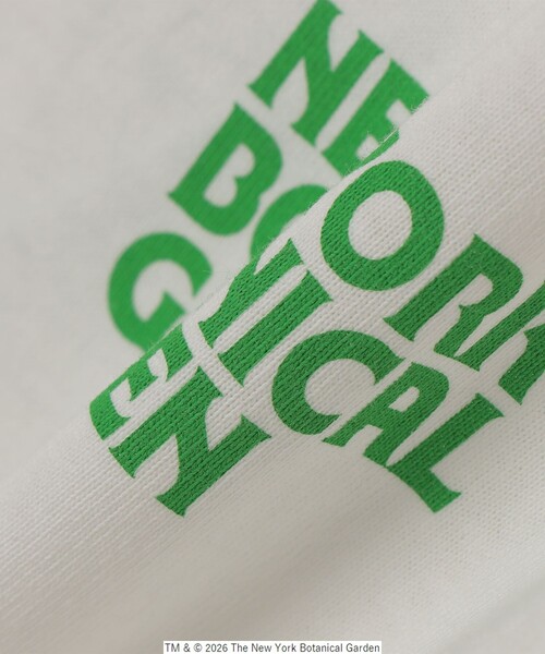 SHIPS any（シップス エニィ）の「【SHIPS any別注】NYBG: ボタニカル プリント リラックス Tシャツ (ロンT)◇（Tシャツ/カットソー・メンズ・ホワイト/ブラック・MEDIUM/X-LARGE/LARGE）」の20枚目の写真