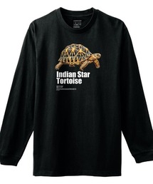 Moftique(モフティック) 長袖Tシャツ インドホシガメ 亀 爬虫類 ペット アニマル プリント Tシャツ 長袖 ロンT ロングTシャツ トップス カットソー レディース ユニセックス 春 秋