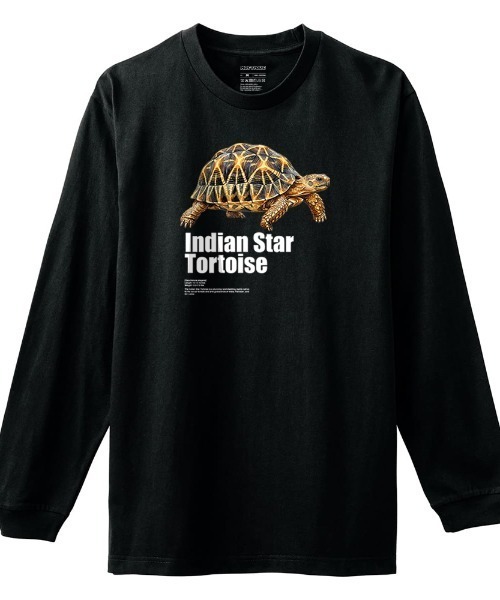Moftique(モフティック)の「Moftique(モフティック) 長袖Tシャツ インドホシガメ 亀 爬虫類 ペット アニマル プリント Tシャツ 長袖 ロンT ロングTシャツ トップス カットソー レディース ユニセックス 春 秋(Tシャツ/カットソー・レディース・ブラック/ホワイト・XS/S)」の1枚目の写真