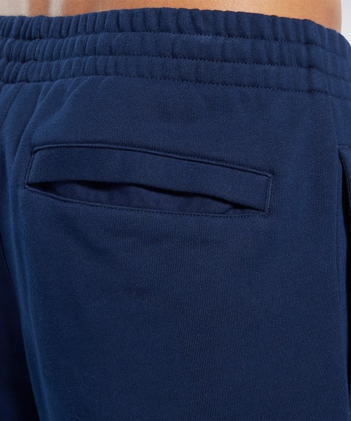 Reebok（リーボック）の「クラシックス ベクター パンツ / Classics Vector Pants（その他パンツ・メンズ・ライトグレー/ブラック/ネイビー・SMALL/MEDIUM/LARGE/X-LARGE/XX-LARGE/X-SMALL）」の11枚目の写真