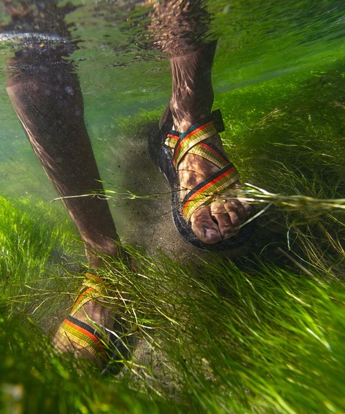 Chaco（チャコ）の「CHACO/チャコ Z1 CLASSIC/クラシック（サンダル・メンズ・A/B/C・26.0cm/27.0cm/28.0cm/25.0cm）」の10枚目の写真