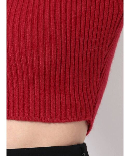 EMODA（エモダ）の「ハイネッククロップニット（ニット/セーター・レディース・ホワイト/ブラック/レッド/ブルー・FREE）」の5枚目の写真