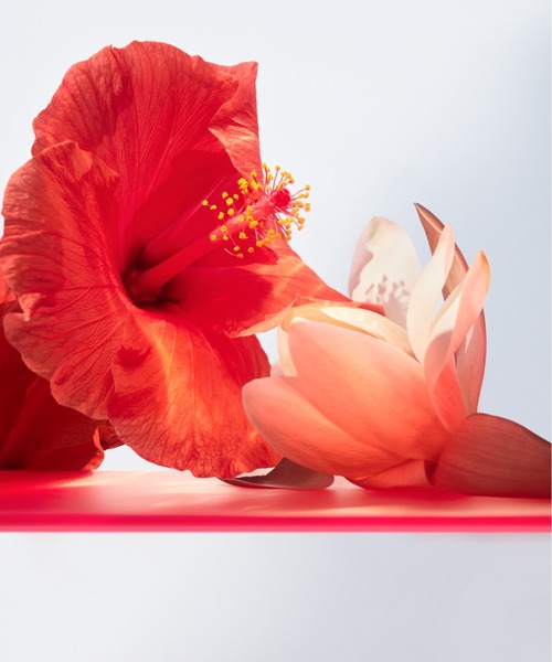 BVLGARI（ブルガリ）の「オムニア コーラル オードトワレ100mL