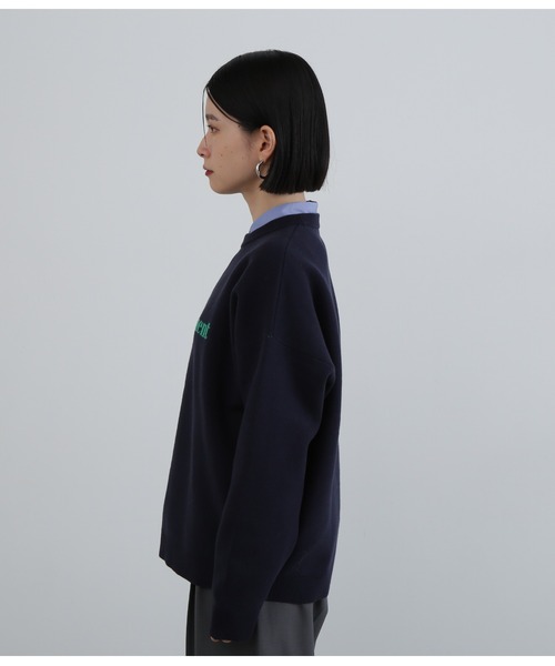 N.（N. Natural Beauty Basic）（エヌエヌナチュラルビューティーベーシック）の「◆ジャガードロゴニット（ニット/セーター・レディース・チャコールグレー/ベージュ/ネイビー・MEDIUM）」の15枚目の写真