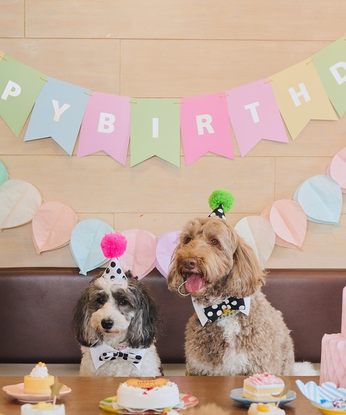 ROPE' PICNIC(ロペピクニック)の「【DOG】【comif(コミフ)×ROPE' PICNIC】バースデーセット(ペットウェア・レディース・ピンク系その他/ライトグリーン・FREE)」の3枚目の写真