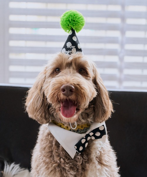 ROPE' PICNIC(ロペピクニック)の「【DOG】【comif(コミフ)×ROPE' PICNIC】バースデーセット(ペットウェア・レディース・ピンク系その他/ライトグリーン・FREE)」の5枚目の写真