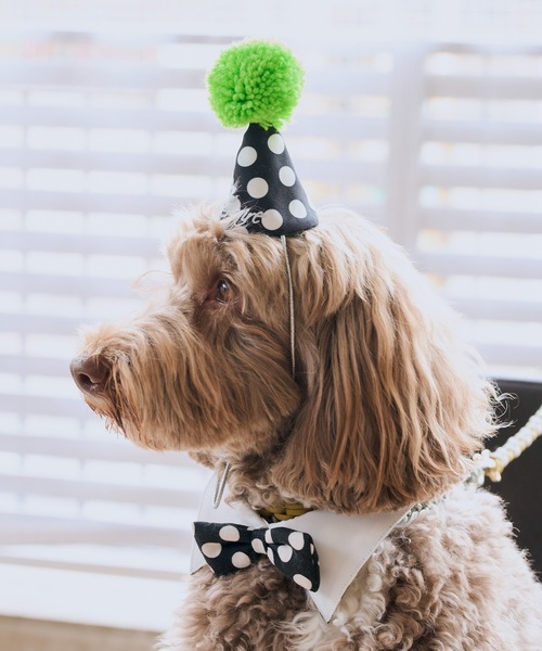 ROPE' PICNIC(ロペピクニック)の「【DOG】【comif(コミフ)×ROPE' PICNIC】バースデーセット(ペットウェア・レディース・ピンク系その他/ライトグリーン・FREE)」の7枚目の写真