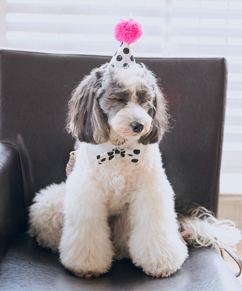 ROPE' PICNIC(ロペピクニック)の「【DOG】【comif(コミフ)×ROPE' PICNIC】バースデーセット(ペットウェア・レディース・ピンク系その他/ライトグリーン・FREE)」の9枚目の写真