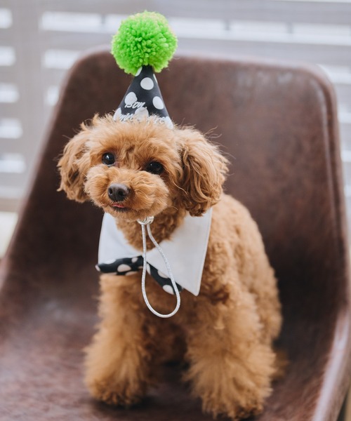 ROPE' PICNIC(ロペピクニック)の「【DOG】【comif(コミフ)×ROPE' PICNIC】バースデーセット(ペットウェア・レディース・ピンク系その他/ライトグリーン・FREE)」の11枚目の写真