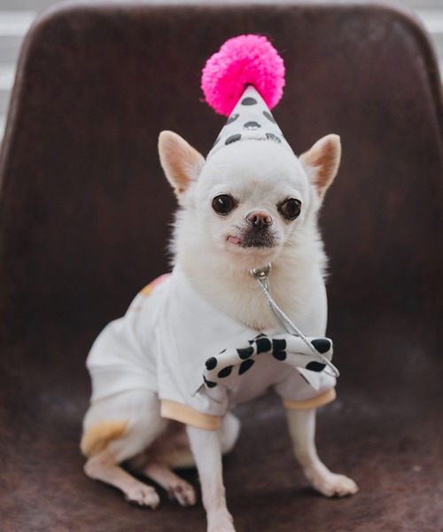 ROPE' PICNIC(ロペピクニック)の「【DOG】【comif(コミフ)×ROPE' PICNIC】バースデーセット(ペットウェア・レディース・ピンク系その他/ライトグリーン・FREE)」の12枚目の写真