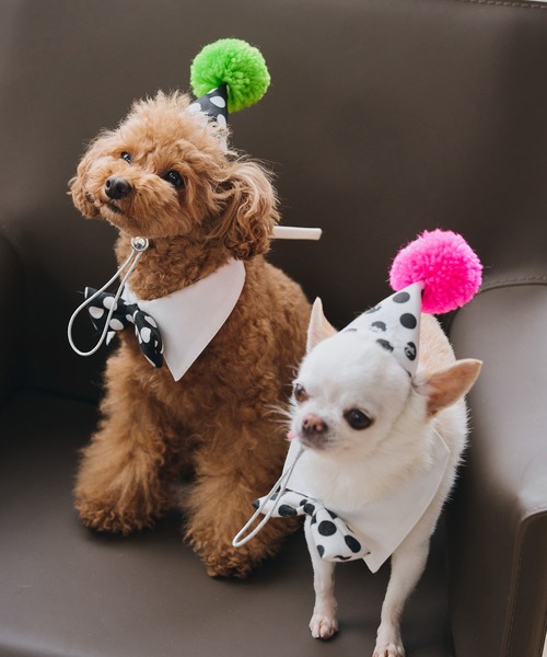 ROPE' PICNIC(ロペピクニック)の「【DOG】【comif(コミフ)×ROPE' PICNIC】バースデーセット(ペットウェア・レディース・ピンク系その他/ライトグリーン・FREE)」の13枚目の写真
