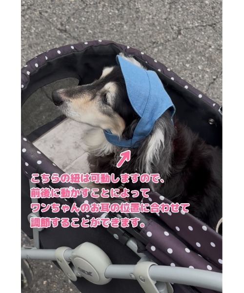 tone(トーン)の「【MocoHouse】犬用帽子/犬用キャップ/日よけ/紫外線対策/ペット用(SU)(その他ペットグッズ・レディース・ネイビー/ライトブルー・X-SMALL/SMALL/MEDIUM/LARGE)」の4枚目の写真