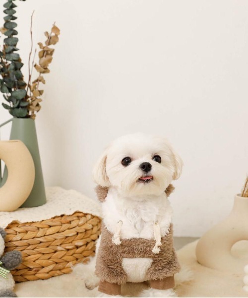 moncheri（モンシェリ）の「パンダさんパーカ―（ペットウェア・レディース・ブラック/モカ・S/M/L/XL）」の10枚目の写真