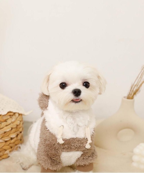 moncheri（モンシェリ）の「パンダさんパーカ―（ペットウェア・レディース・ブラック/モカ・S/M/L/XL）」の11枚目の写真