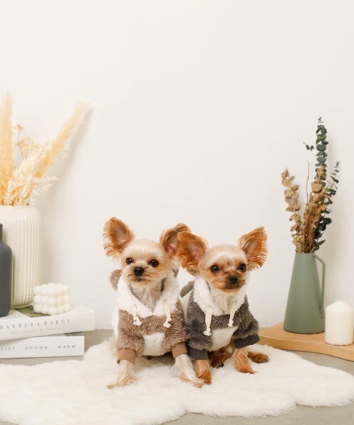 moncheri（モンシェリ）の「パンダさんパーカ―（ペットウェア・レディース・ブラック/モカ・S/M/L/XL）」の16枚目の写真